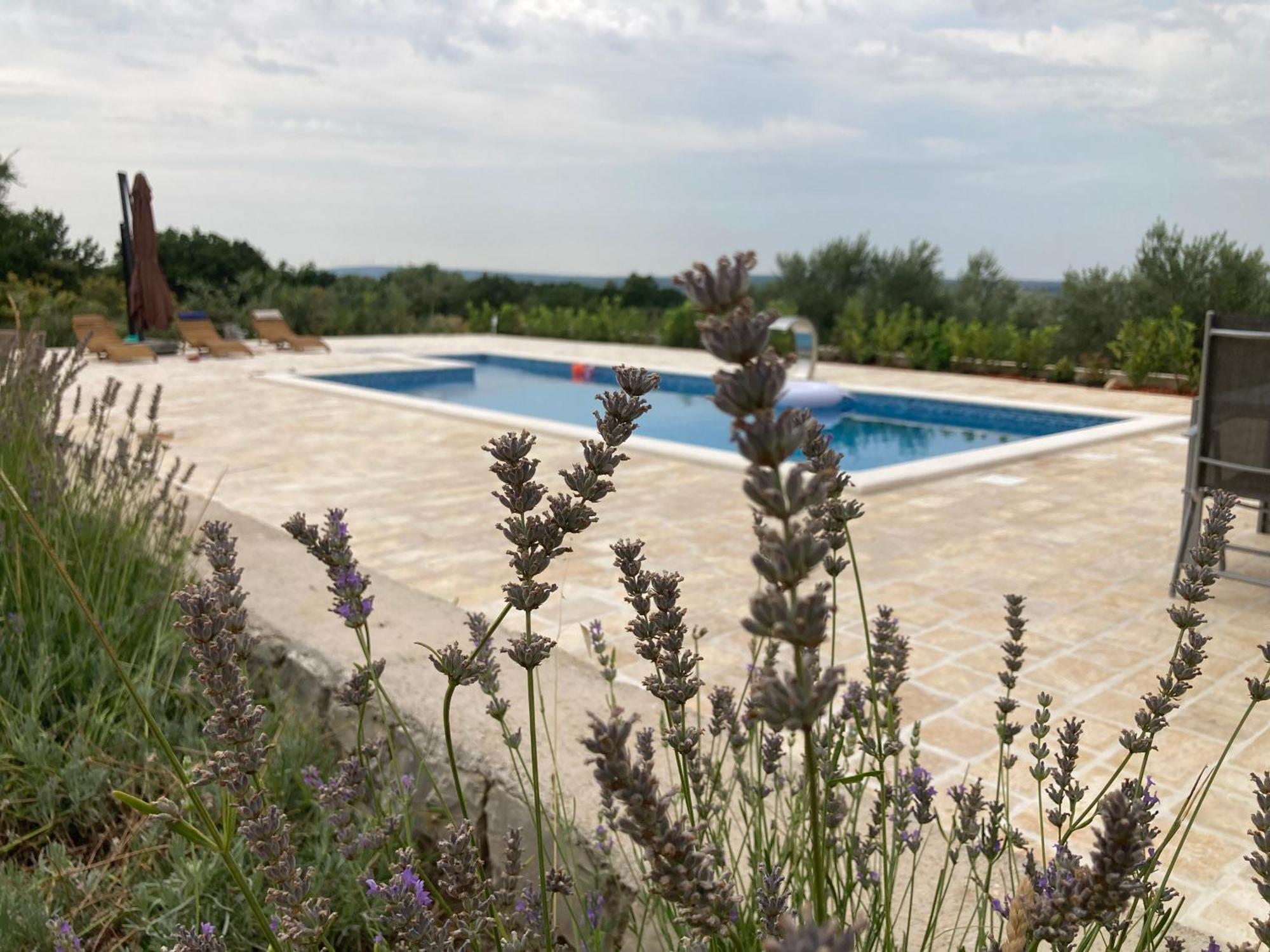 Villa Doci ซาดาร์ ภายนอก รูปภาพ
